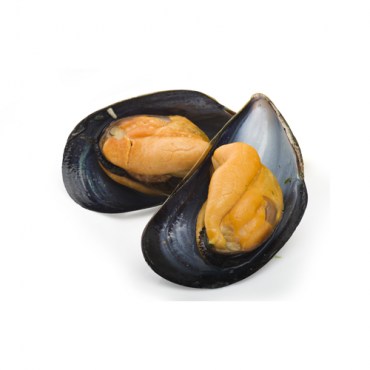 Cozze_mezzo_guscio_500X500